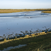 Buy canvas prints of Overy Marsh. Burnham Overy Staithe. by Liam Grant