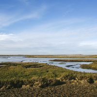 Buy canvas prints of Overy Marsh. Burnham Overy Staithe. by Liam Grant