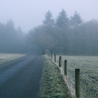 Buy canvas prints of Morning frost and fog over rural country road. by Liam Grant
