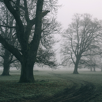 Buy canvas prints of Morning frost and fog over rural countryside scene by Liam Grant