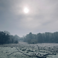 Buy canvas prints of Morning frost over rural countryside scene. by Liam Grant