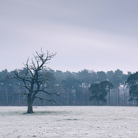 Buy canvas prints of Morning frost over rural countryside scene. by Liam Grant