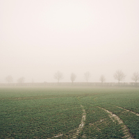 Buy canvas prints of Distant trees beside a field in fog. Bradenham, No by Liam Grant