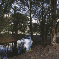 Buy canvas prints of Weir in woodland. by Liam Grant