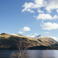 Buy canvas prints of Sunlit trees on the shore of Thirlmere. by Liam Grant