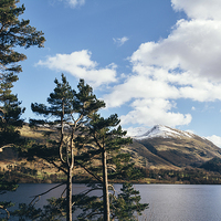 Buy canvas prints of Sunlit trees on the shore of Thirlmere. by Liam Grant