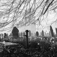 Buy canvas prints of Rural church and graveyard in early morning fog. by Liam Grant
