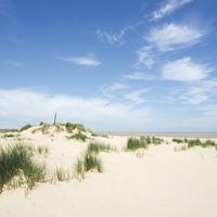 Buy canvas prints of Blue sky beach and sand dunes. Wells-next-the-sea. by Liam Grant