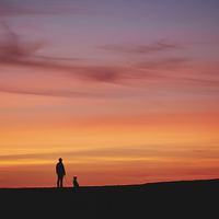 Buy canvas prints of Female walking her dog, silhouetted at sunset. Wal by Liam Grant