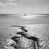 Buy canvas prints of Detail in the sand at low tide. Laugharne, Wales,  by Liam Grant