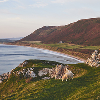 Buy canvas prints of  Rhossili beach at sunset. Wales, UK. by Liam Grant