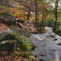Buy canvas prints of Autumnal woodland. Padley Gorge, Derbyshire, UK. by Liam Grant