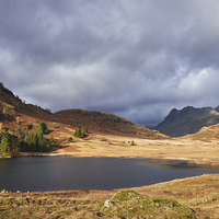 Buy canvas prints of Blea Tarn with Langdale Pikes beyond. Cumbria, UK. by Liam Grant