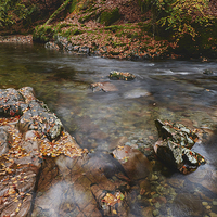 Buy canvas prints of Autumnal trees and leaves along the River Esk. Esk by Liam Grant