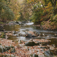 Buy canvas prints of Autumnal trees and leaves along the River Esk. Esk by Liam Grant