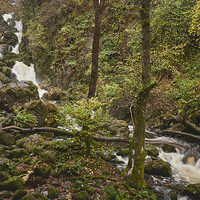 Buy canvas prints of Lodore Falls waterfall after heavy rain. Borrowdal by Liam Grant