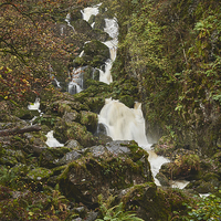 Buy canvas prints of Lodore Falls waterfall after heavy rain. Borrowdal by Liam Grant