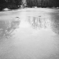 Buy canvas prints of Reflections on a frozen lake. Norfolk, UK. by Liam Grant