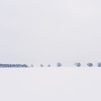Buy canvas prints of Trees on the horizon of a snow covered field. Norf by Liam Grant