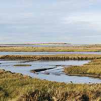 Buy canvas prints of Low tide salt marsh at Burnham Overy Staithe, Norf by Liam Grant