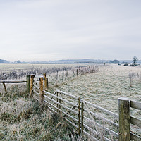 Buy canvas prints of Rural field and gate covered in frost. Norfolk, UK by Liam Grant