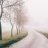 Buy canvas prints of Rural tree lined road in fog. Norfolk, UK. by Liam Grant