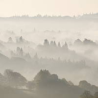 Buy canvas prints of Layers of fog in the valley at sunrise. Troutbeck, by Liam Grant