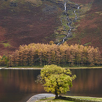Buy canvas prints of Autumnal colour. Buttermere, Cumbria, UK. by Liam Grant