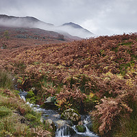 Buy canvas prints of Cinderdale Beck and Whiteless Pike in cloud. Cumbr by Liam Grant