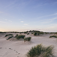 Buy canvas prints of Paw prints in the sand at sunset. Wells-next-the-s by Liam Grant