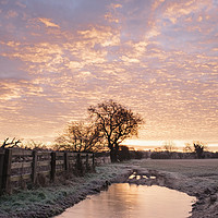 Buy canvas prints of Frozen farm track at sunrise. Cressingham, Norfolk by Liam Grant