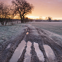 Buy canvas prints of Frozen farm track at sunrise. Cressingham, Norfolk by Liam Grant