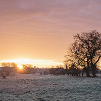 Buy canvas prints of Frost covered field at sunrise. Cressingham, Norfo by Liam Grant