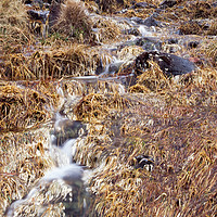 Buy canvas prints of Mountain stream and orange grass in Autumn. Cumbri by Liam Grant