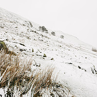 Buy canvas prints of Heavy snow falling on a mountainside. Cumbria, UK. by Liam Grant