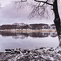 Buy canvas prints of Snow and reflections on Esthwaite Water at dawn. C by Liam Grant