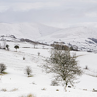 Buy canvas prints of Snow covered mountains and farmland. Cumbria, UK. by Liam Grant