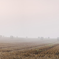 Buy canvas prints of Round bales in a stubble field bound with fog at d by Liam Grant