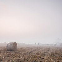 Buy canvas prints of Round bales in a stubble field bound with fog at d by Liam Grant