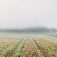 Buy canvas prints of Dense fog over a stubble field at dawn. Norfolk, U by Liam Grant