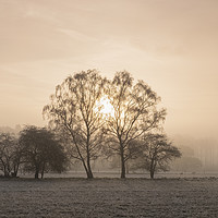 Buy canvas prints of Sunrise through fog on a frosty morning. Santon Do by Liam Grant