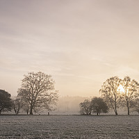 Buy canvas prints of Sunrise through fog on a frosty morning. Santon Do by Liam Grant