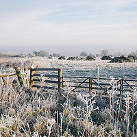 Buy canvas prints of Rural scene covered in a thick hoar frost. Norfolk by Liam Grant
