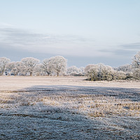 Buy canvas prints of Rural scene covered in a thick hoar frost. Norfolk by Liam Grant
