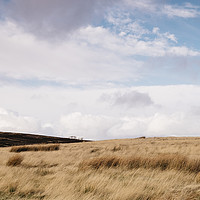 Buy canvas prints of Sunlight over moorland. Derbyshire, UK. by Liam Grant