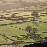 Buy canvas prints of Hazy light at sunset over a vallery of fields. Der by Liam Grant