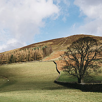 Buy canvas prints of Sunlit tree and hillside. Edale, Derbyshire, UK. by Liam Grant