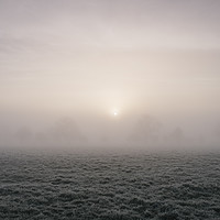 Buy canvas prints of Sunrise through fog on a frosty morning. Norfolk,  by Liam Grant