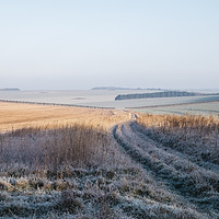 Buy canvas prints of Frost covered track through fields at sunrise. Nor by Liam Grant