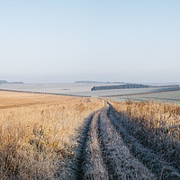 Buy canvas prints of Frost covered track through fields at sunrise. Nor by Liam Grant